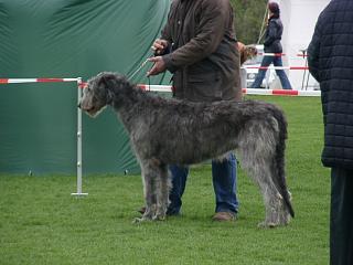 Klicken Sie hier fr mehr Informationen ber Beltany