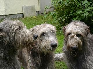 09270026.JPG (20342 Byte)