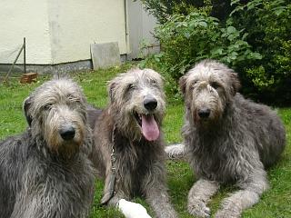 09270027.JPG (21289 Byte)