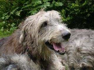 09270032.JPG (20373 Byte)