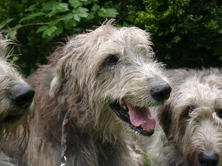 09270033.JPG (17920 Byte)