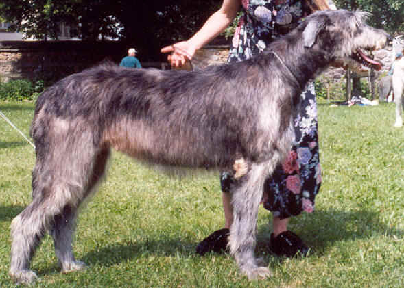 Aideen_hr.jpg (173809 Byte)