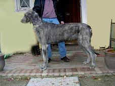 Beltany1y.jpg (5840 Byte)