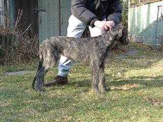 Beltany4Ma.jpg (23847 Byte)