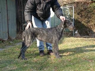 Beltany4Mb.jpg (24420 Byte)