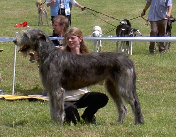 Cairenn_Lsg_N-BY_05.jpg (44504 Byte)