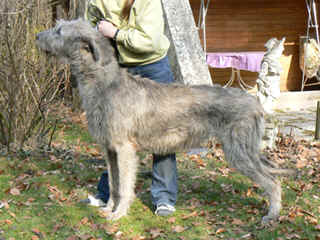 Daireann_507_k.jpg (15097 Byte)