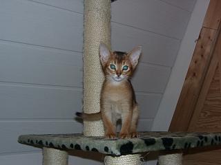 01010001_1.JPG (10120 Byte)