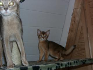 01010002_1.JPG (9534 Byte)