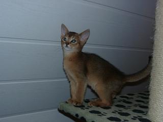 01010003_1.JPG (8195 Byte)