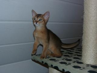 01010004_1.JPG (9129 Byte)