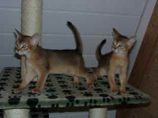 01010005_1.JPG (10381 Byte)