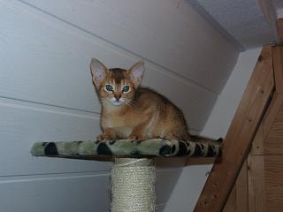 01010008_1.JPG (9131 Byte)