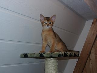 01010009_1.JPG (8563 Byte)