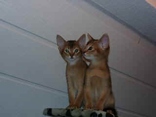 01010012_1.JPG (7651 Byte)