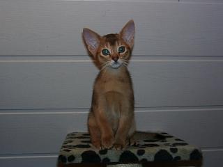 01030001.JPG (7791 Byte)