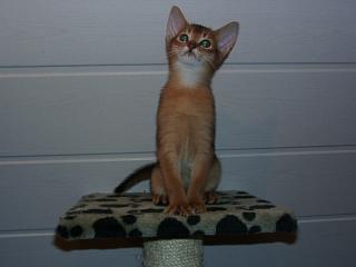 01030002.JPG (7808 Byte)