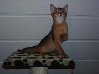 01030005.JPG (8116 Byte)