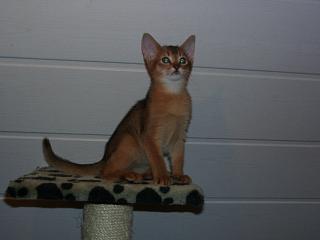 01030008.JPG (7296 Byte)