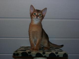 01030009.JPG (7884 Byte)