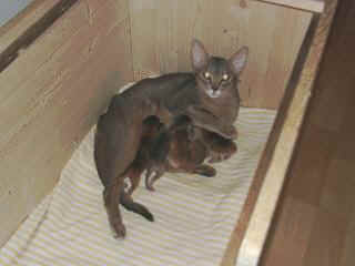 02160003.jpg (9381 Byte)