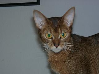 02230014.jpg (9310 Byte)