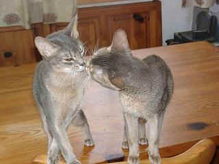 02230024.jpg (14280 Byte)