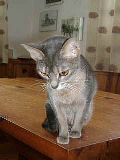 02230032.jpg (12946 Byte)