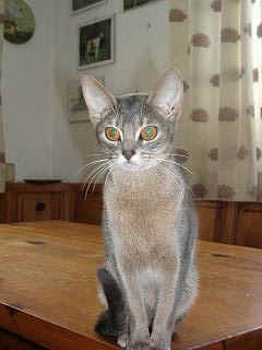 02230033.jpg (12733 Byte)