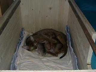 03010001.jpg (11292 Byte)