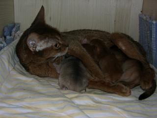 03010002.jpg (10355 Byte)