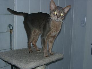 03010020.jpg (10008 Byte)