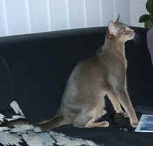 03020025.jpg (12057 Byte)