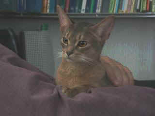 03020033.jpg (7898 Byte)