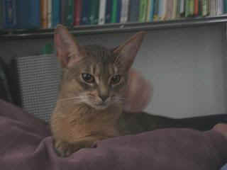 03020037.jpg (8221 Byte)