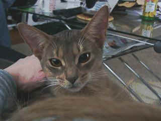 03020042.jpg (11886 Byte)