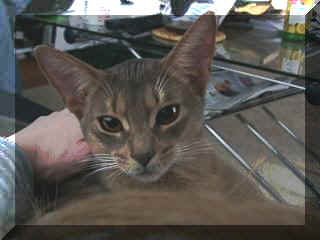 03020042.jpg (11886 Byte)