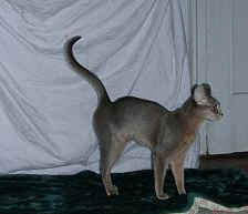 03020054.jpg (13248 Byte)