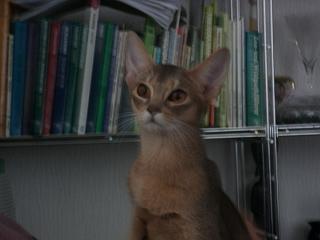 03020057.jpg (10299 Byte)