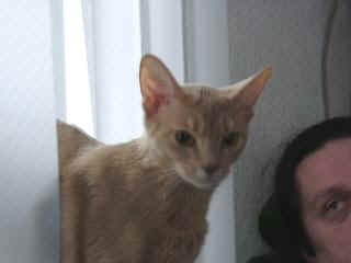 03020070.jpg (8095 Byte)