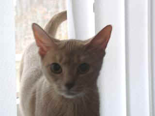 03020073.jpg (8603 Byte)