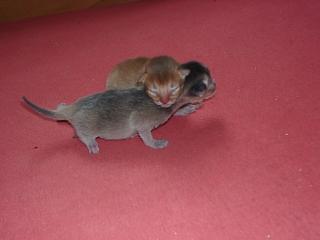 03120001.JPG (7467 Byte)