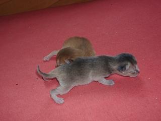 03120002.JPG (7974 Byte)