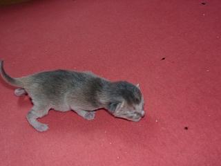 03120003.JPG (8212 Byte)