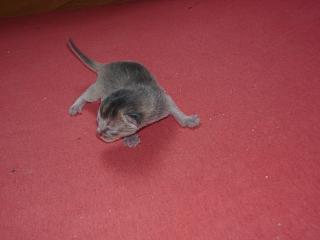 03120004.JPG (7503 Byte)