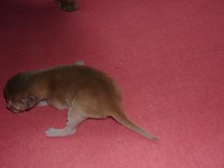 03120006.JPG (6481 Byte)