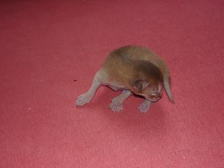 03120007.JPG (7586 Byte)