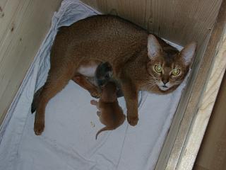 03120009.JPG (11940 Byte)