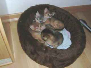 03150001.jpg (10239 Byte)