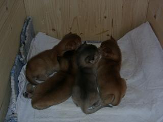 03150027.jpg (9006 Byte)